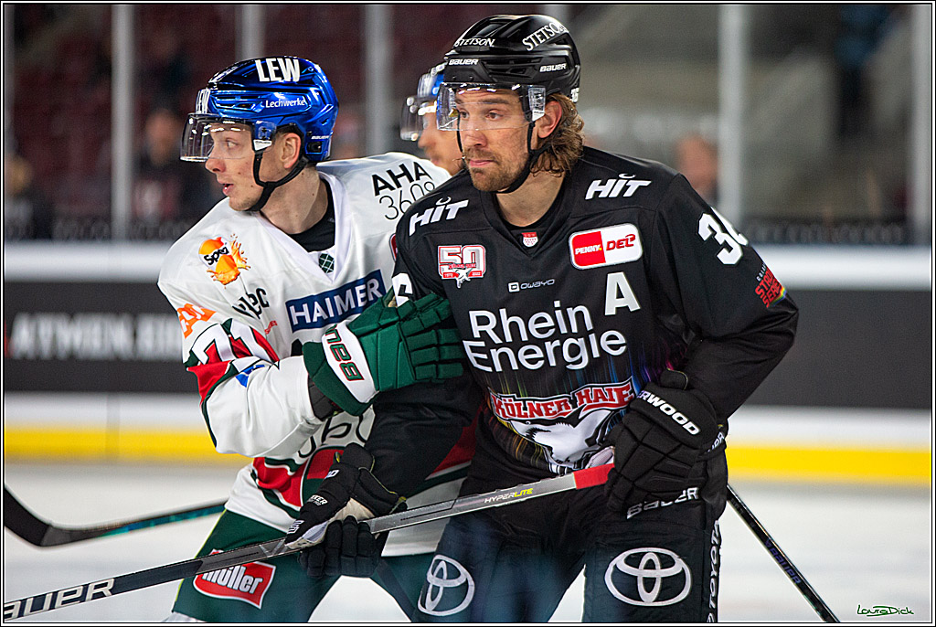 PENNY DEL; Koelner Haie- Augsburger Panther; Koeln, 08.01.2023